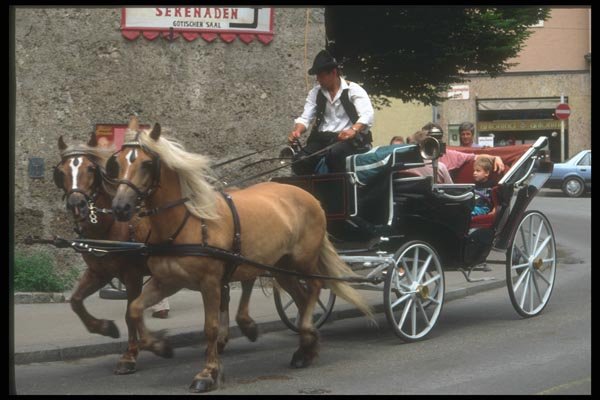 126073 Horse And Carriage On The Go A4 Photo Print