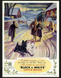 128 05 black and white dogs whisky 1949 christmas Advert A4 Photo Print