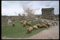 128080 Roman Built Garni Temple, Outside Yerevan A4 Photo Print