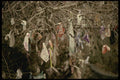 128098 Prayer Requests Tied To Tree, Lake Sevan Chapel A4 Photo Print