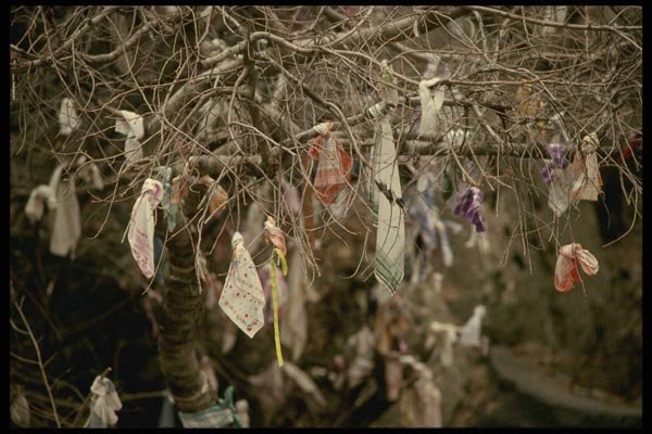 128098 Prayer Requests Tied To Tree, Lake Sevan Chapel A4 Photo Print
