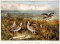 130 Shooting On Prairie Vintage A4 Photo Print