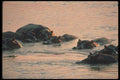 130094 Hippos Pod Relaxed In River At Twilight A4 Photo Print