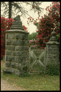 131000 Old Stone Gateway With Rhododendron A4 Photo Print