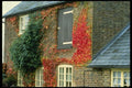 131006 Converted Mill With Virginia Creeper A4 Photo Print