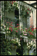 131021 Verandah With Hanging Baskets Geraniums, Lobelia, Petunias A4 Photo Print