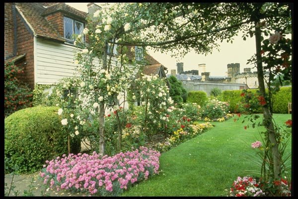 131026 Timber Clad Cottage With Climbing Roses And Pinks A4 Photo Print