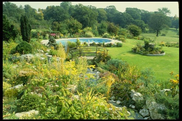 131028 Swimming Pool With Established Garden A4 Photo Print