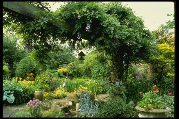 131030 Pond With Hosta, Primula Florindae, Lilly, Mimulus, Iris A4 Photo Print