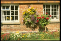 131040 Hanging Baskets And Planted Tubs Calceolaria, Fuchsias A4 Photo Print