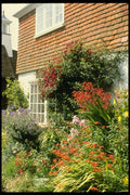 131053 View To House And Porch With Border Catmint, Iris, Rose A4 Photo Print