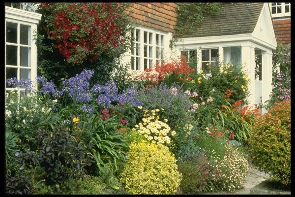 131054 View Of House And Porch With Border Catmint, Iris, Rose A4 Photo Print