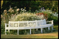 131058 Garden Seat With Goat's Beard Stachys A4 Photo Print