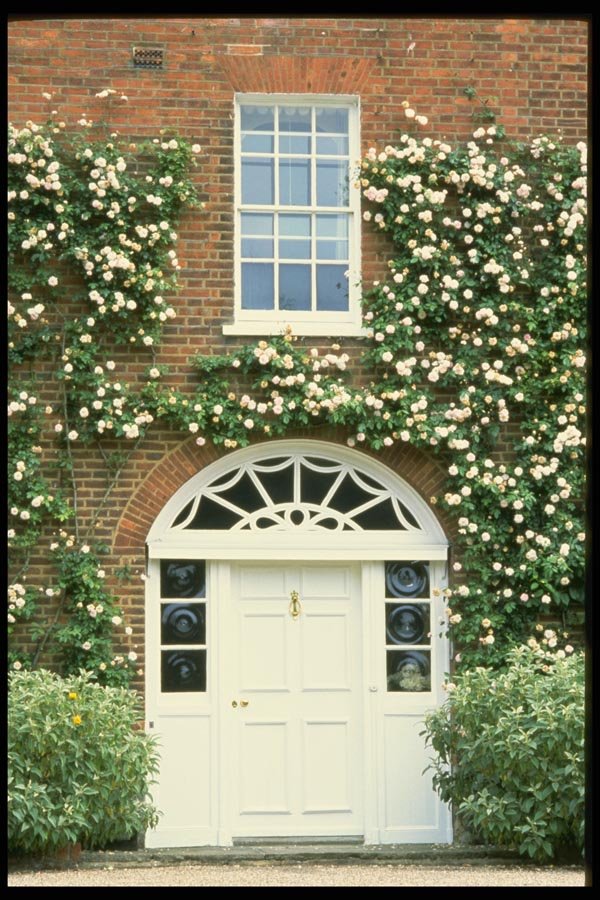 131070 Queen Anne House With Climbing Rose Cecile Brunner  A4 Photo Print