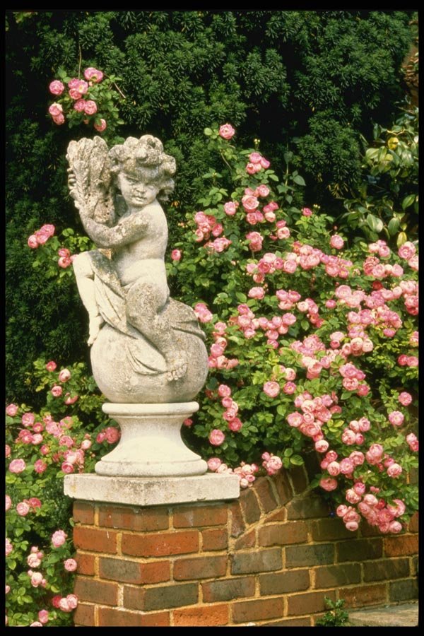 131075 Bacchus With Rose Arctostaphylus Ura A4 Photo Print
