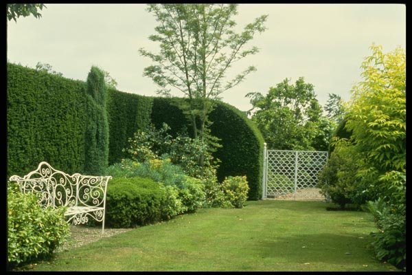131079 Wrought Iron Gate And Garden Seat A4 Photo Print