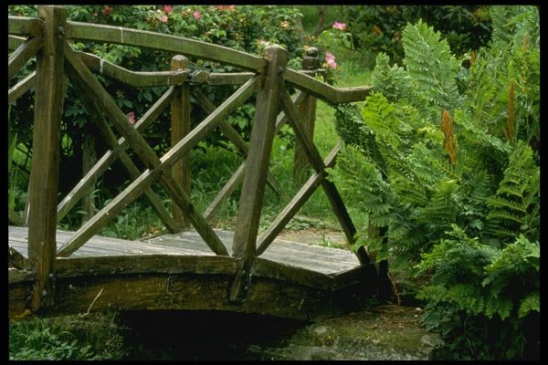 131090 Wooden Bridge With Fern A4 Photo Print