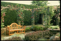 131091 Garden Seat In Rose Pergola, With Berberis And Lavender A4 Photo Print