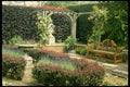 131092 Garden Seat In Rose Pergola, With Berberis And Lavender A4 Photo Print