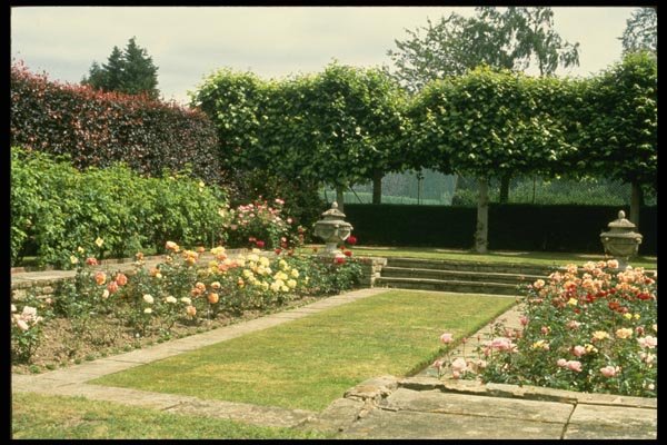131093 Formal Garden With Roses A4 Photo Print