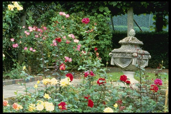 131096 Classical Urn With Roses In Foreground A4 Photo Print