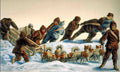 137 Sledge Drawn By Dogs Vintage A4 Photo Print