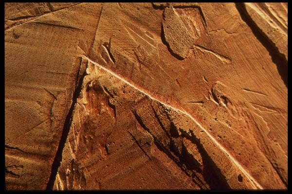 137000 Brown Texture (Art) A4 Photo Print