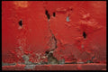 137002 Red Texture (Metal) A4 Photo Print