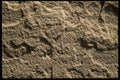 137004 Stone (Flagstone) A4 Photo Print