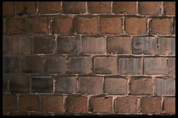 137005 Brown Brick Wall A4 Photo Print