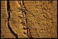 137007 Brown Texture (Wood) A4 Photo Print
