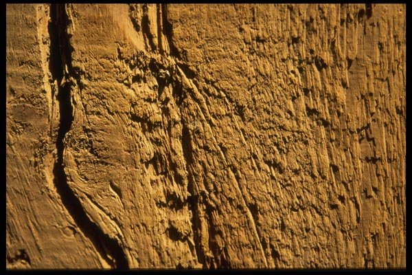 137007 Brown Texture (Wood) A4 Photo Print