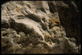 137009 Rough Stone A4 Photo Print