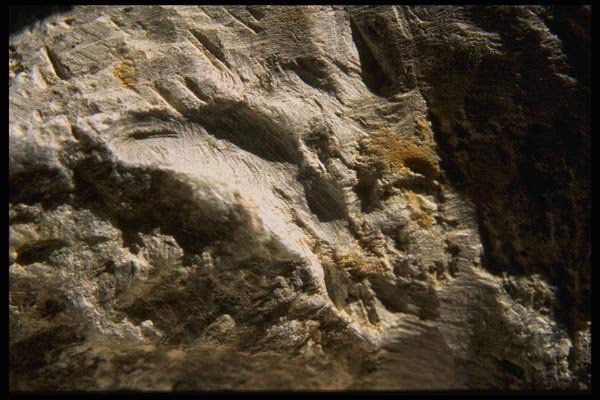 137009 Rough Stone A4 Photo Print