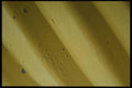 137012 Yellow Grooves (Wide) A4 Photo Print
