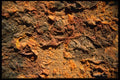 137019 Rust A4 Photo Print