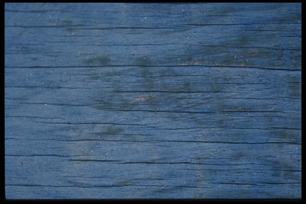 137020 Blue Wood A4 Photo Print