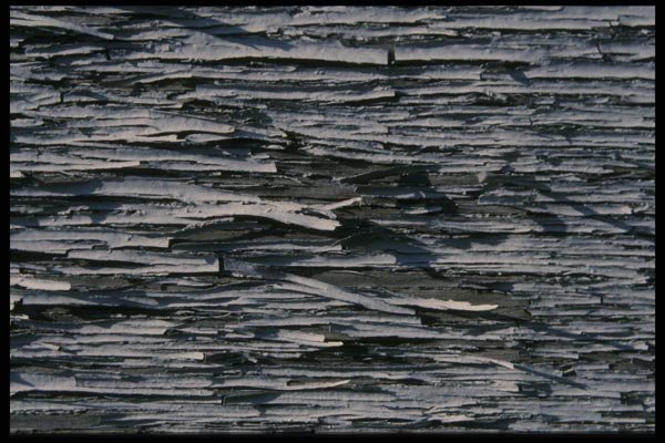 137021 Grey Wood A4 Photo Print