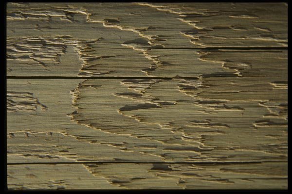 137022 Beige Wood Grain A4 Photo Print
