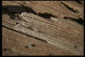 137025 Wood (3 D) A4 Photo Print