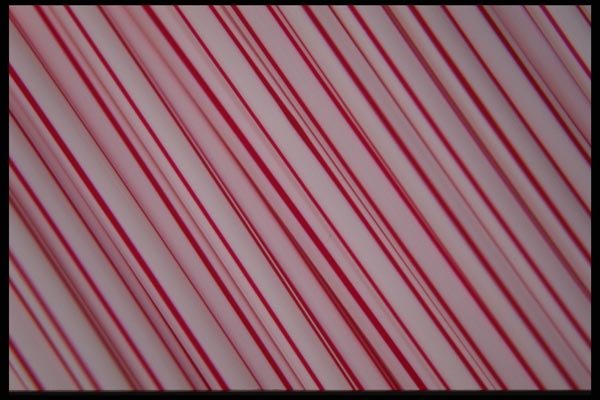137039 Straws A4 Photo Print