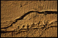 137041 Wood A4 Photo Print