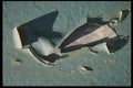 137042 Blue Peeling Paint A4 Photo Print