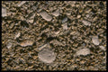 137050 Lots Of Little Stones A4 Photo Print