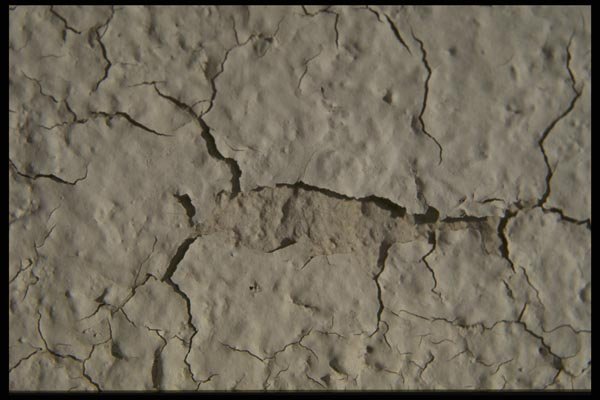 137053 Stone A4 Photo Print