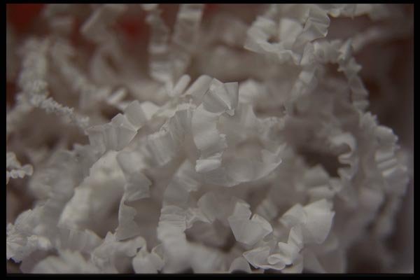 137054 Wax Shavings A4 Photo Print