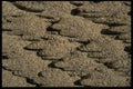 137055 Wiggly Concrete A4 Photo Print
