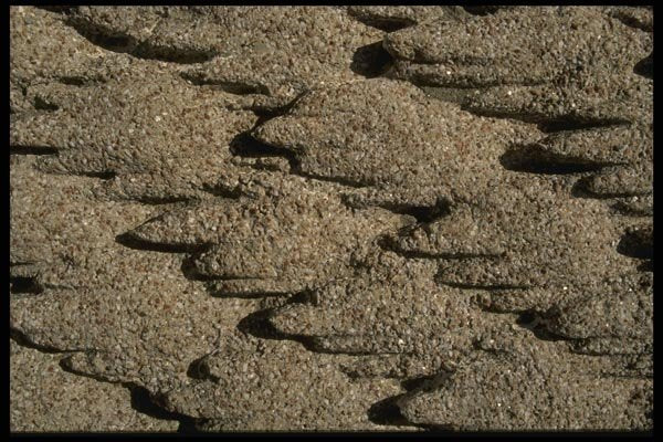 137055 Wiggly Concrete A4 Photo Print