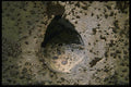 137056 Stone In The Middle Of Stone A4 Photo Print
