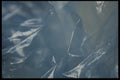 137057 Plastic A4 Photo Print